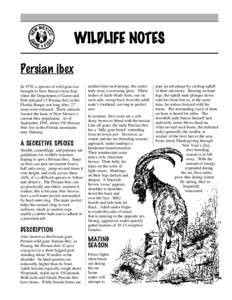 WILDLIFE NOTES Persian ibex In 1970, a species of wild goat was brought to New Mexico from Iran when the Department of Game and Fish released 15 Persian ibex in the