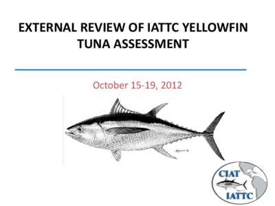 EXTERNAL REVIEW OF IATTC YELLOWFIN TUNA ASSESSMENT