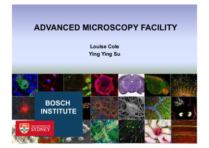 ADVANCED MICROSCOPY FACILITY Louise Cole Ying Ying Su BOSCH INSTITUTE