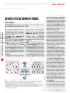 news and views  Pairing cells to enhance fusion Peter W Zandstra  The fusing of cells is an important event during embryogenesis and tissue development,