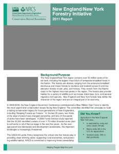 New England/New York Forestry Initiative 2011 Report Background/Purpose The New England/New York region contains over 52 million acres of forest land, including the largest intact block of temperate broadleaf forest in