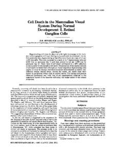 THE JOURNAL OF COMPARATIVE NEUROLOGY 204:Cell Death in the Mammalian Visual System During Normal Development: I. Retinal Ganglion Cells