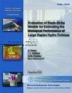 Water turbines / Kaplan turbine / Energy / Engines / Turbine blade / Turbine / Physical universe / Wind turbines