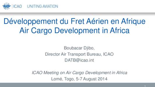 Développement du Fret Aérien en Afrique Air Cargo Development in Africa Boubacar Djibo, Director Air Transport Bureau, ICAO [removed] ICAO Meeting on Air Cargo Development in Africa
