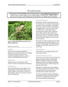 South Carolina Species Information  Woodchucks Woodchucks Prepared by the National Wildlife Control Training Program. http://WildlifeControlTraining.com
