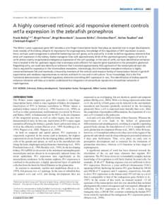 RESEARCH ARTICLEDevelopment 136, doi:devA highly conserved retinoic acid responsive element controls wt1a expression in the zebrafish pronephros