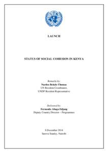 UNDP Remarks - NCIC Social Cohesion Index Launch - 8 Dec 2014