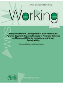 Working Paper[removed]Microcredit for the Development of the Bottom of the Pyramid Segment Impact of Access to Financial Services on Microcredit Clients Institutions and Urban Sustainability