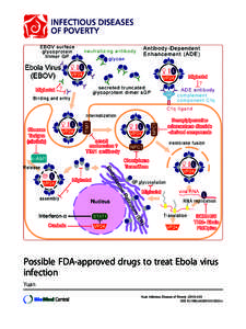 Possible FDA-approved drugs to treat Ebola virus infection
