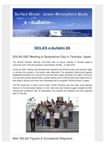 SOLAS e-bulletin Issue 85