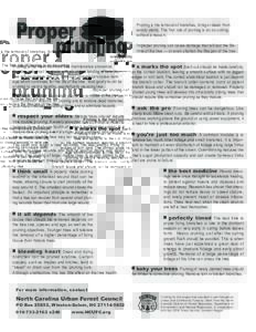 Proper prun i ng Pruning is the most common tree maintenance procedure. Pruning cuts must be made with an understanding of how the tree will respond to the cut. Improper pruning can cause damage which continues for the l