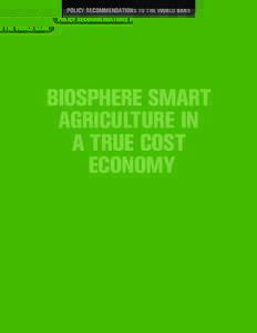 POLICY RECOMMENDATIONS TO THE WORLD BANK  BIOSPHERE SMART AGRICULTURE IN A TRUE COST ECONOMY