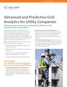 Actuate BIRT Analytics I Solutions Brochure  Advanced and Predictive Grid Analytics for Utility Companies Optimize assets and improve distribution efficiency with comprehensive grid analytics