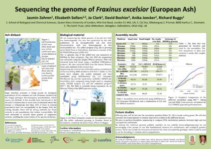 Sequencing the genome of Fraxinus excelsior (European Ash) Jasmin 1 Zohren ,