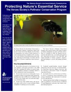 THE XERCES SOCIETY FOR INVERTEBRATE CONSERVATION  Protecting Nature’s Essential Service The Xerces Society’s Pollinator Conservation Program Pollinators are an essential