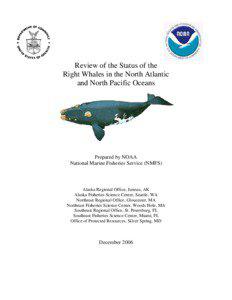 Review of the Status of the Right Whales in the North Atlantic and North Pacific Oceans (2006)