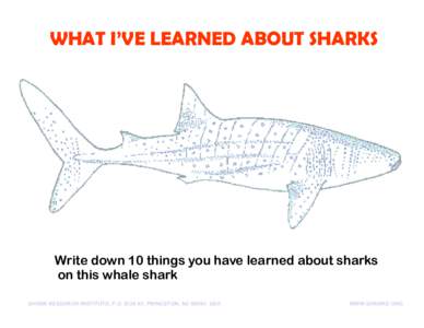 WHAT I’VE LEARNED ABOUT SHARKS  Write down 10 things you have learned about sharks on this whale shark SHARK RESEARCH INSTITUTE, P.O. BOX 40, PRINCETON, NJ 08540, USA
