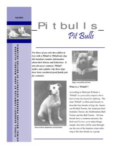 Dog breeding / Agriculture / Pit bull / Terrier / Breed-specific legislation / Game / Dog fighting / Gull Terr / Terrier Group / Terriers / Breeding / Dog breeds