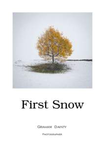 First Snow Graham Dainty Photographer a delicate blanket quiet and cold