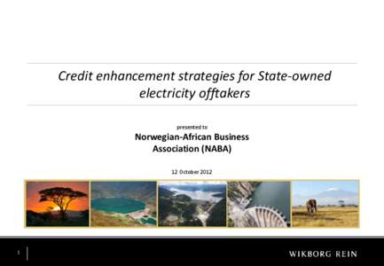 Credit enhancement strategies for State-owned electricity offtakers presented to Norwegian-African Business Association (NABA)