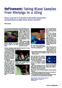 Refinement: Taking Blood Samples from Minipigs in a Sling Did you know that it is possible to take blood samples from unanaesthetised minipigs almost without restraint ? Helle Lorentsen