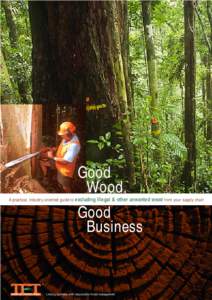 Good Wood, A practical, industry-oriented guide to excluding illegal & other unwanted wood from your supply chain