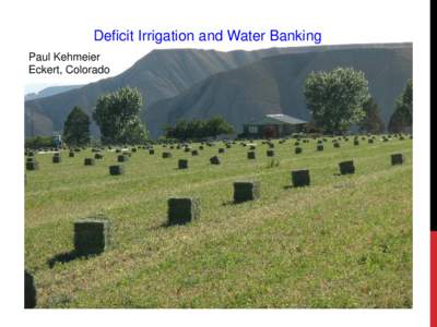 Deficit Irrigation and Water Banking Paul Kehmeier Eckert, Colorado Stand Longevity Results What the plots looked like in early May 2013