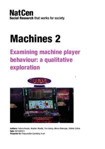    Machines 2 Examining machine player behaviour: a qualitative exploration