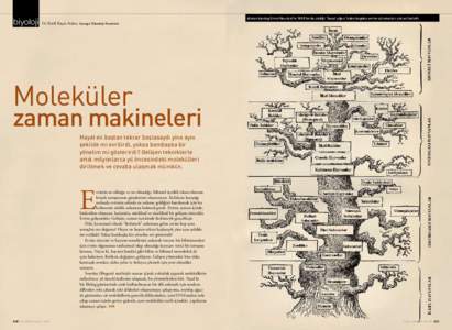 biyoloji  Alman biyolog Ernst Haeckel’in 1800’lerde çizdiği “hayat ağacı”ndan bugüne evrim çalışmaları çok yol katetti. Dr. Betül Kaçar-Arslan, Georgia Teknoloji Enstitüsü