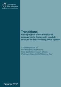 KJ Transitions: An inspection of the transitions arrangements from youth to adult services in the criminal justice system