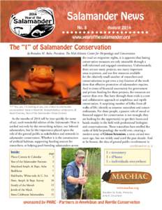 Salamander News No. 8 August 2014