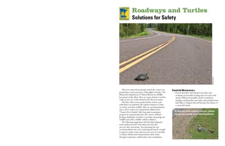 Type D or S curb allows turtles to leave the road surface at any point. •	 Areas near lakes, rivers, streams and wetlands (typical turtle habitat) should have rural shoulders and vegetated swale road ditches, not typic