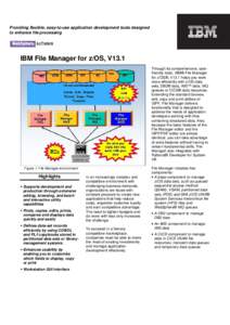 Providing flexible, easy-to-use application development tools designed to enhance file processing IBM File Manager for z/OS, V13.1 Through its comprehensive, userfriendly tools, IBM® File Manager for z/OS®, V13.1 helps