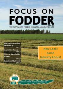 focus on  Fodder Spring 2012