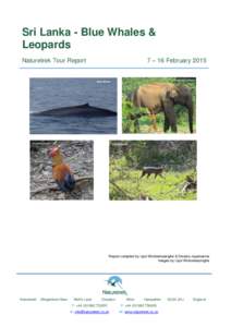 Sri Lanka - Blue Whales & Leopards 7 – 16 February 2015 Naturetrek Tour Report