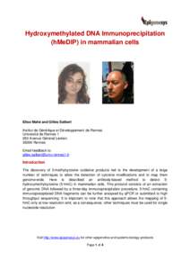 Hydroxymethylated DNA Immunoprecipitation (hMeDIP) in mammalian cells Elise Mahé and Gilles Salbert Institut de Génétique et Développement de Rennes Université de Rennes 1