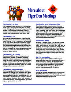 More about Tiger Den Meetings Cub Scouting is for Boys Cub Scouting has an Advancement Plan