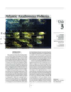 UNIT 3 AT L A N T I C A N A D R O M O U S F I S H E R I E S atlantic anadromous fisheries Unit