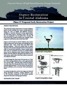 Deepwater Horizon Oil Spill Natural Resource Damage Assessment  Osprey Restoration in Coastal Alabama Phase IV Proposed Early Restoration Project PROJECT DESCRIPTION