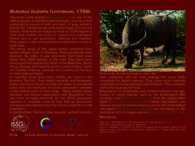 Bubalus bubalis (Linnaeus, 1758) The Asian water buffalo (Bubalus bubalis) is one of the oldest species of domesticated livestock, used as a draft animal and a source of milk and meat. A large animal it stands[removed]