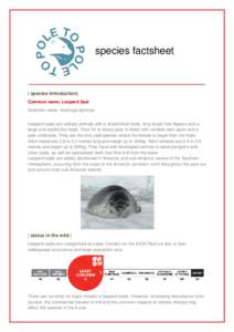 species factsheet  | species introduction| Common name: Leopard Seal Scientific name: Hydrurga leptonyx Leopard seals are solitary animals with a streamlined body, long broad fore flippers and a