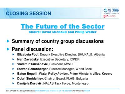 CLOSING SESSION  The Future of the Sector Chairs: David Michaud and Philip Weller   Summary of country group discussions