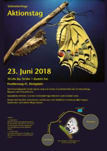 Schmetterlings-  Aktionstag 23. JuniUhr bis 14 Uhr • Eintritt frei