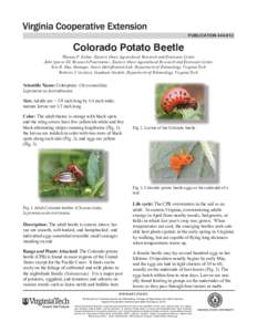 publication[removed]Colorado Potato Beetle Thomas P. Kuhar, Eastern Shore Agricultural Research and Extension Center John Speese III, Research Practitioner, Eastern Shore Agricultural Research and Extension Center