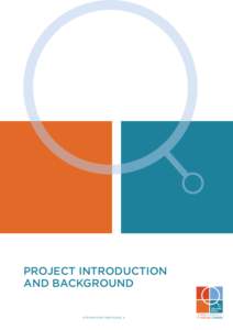 PROJECT INTRODUCTION and BACKGROUND SQUARE DEAL  STEP-BY-STEP USER GUIDE 3
