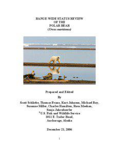 Polar bear / Grizzly bear / Brown bear / Ursus / International Agreement on the Conservation of Polar Bears / Arctic Ocean / Breeding in the wild / Arctic / Chukchi Sea / Bears / Zoology / Biology