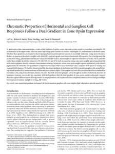 The Journal of Neuroscience, November 22, 2006 • 26(47):12351–12361 • Behavioral/Systems/Cognitive Chromatic Properties of Horizontal and Ganglion Cell Responses Follow a Dual Gradient in Cone Opsin Expressi
