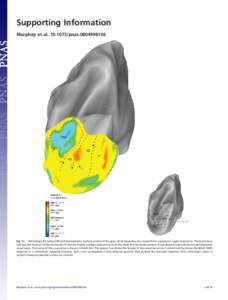 Supporting Information Murphey et al[removed]pnas[removed]Fig. S1. Retinotopy for subject BR (left hemisphere). Surface models of the gray-white boundary are viewed from a posterior-superior position. The black discs