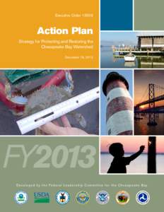 Executive OrderAction Plan Strategy for Protecting and Restoring the Chesapeake Bay Watershed December 18, 2012