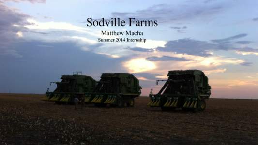 Sodville Farms Matthew Macha Summer 2014 Internship • Headquartered in Odem, TX • Owner Andrew Miller owned